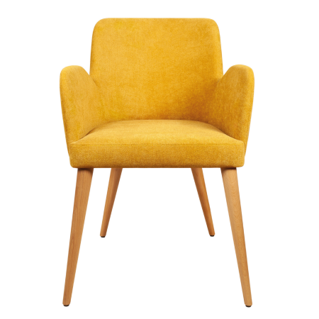 картинка Полукресло Dion | Дион от компании CORSASTYLE