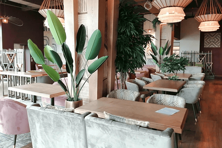 Высота, ресторан, п. Елизово